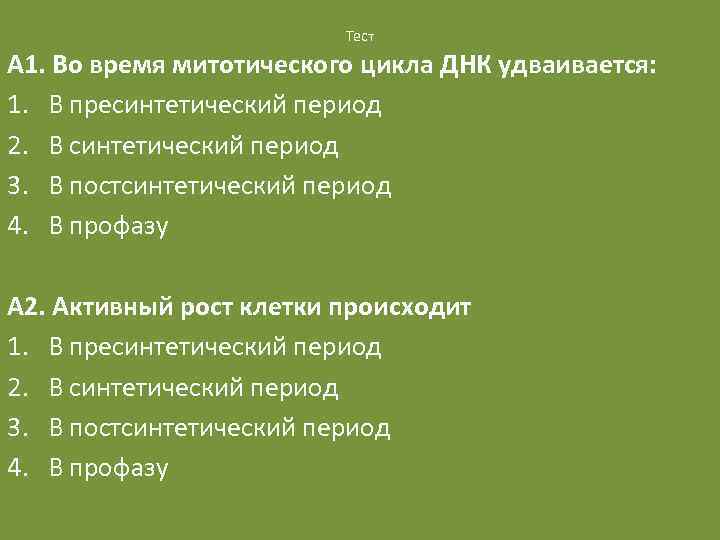 Тест А 1. Во время митотического цикла ДНК удваивается: 1. В пресинтетический период 2.