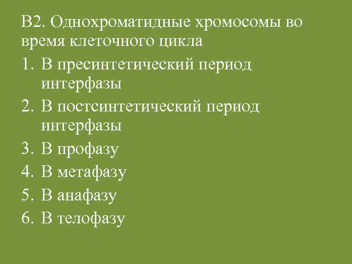 В 2. Однохроматидные хромосомы во время клеточного цикла 1. В пресинтетический период интерфазы 2.