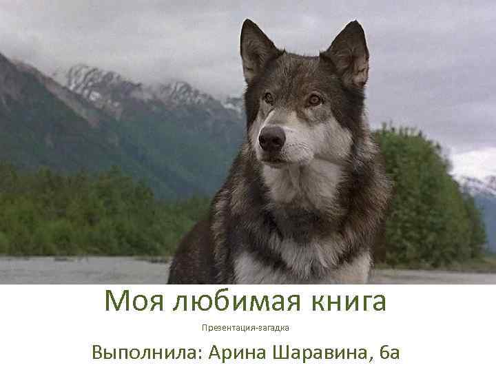 Моя любимая книга Презентация-загадка Выполнила: Арина Шаравина, 6 а 