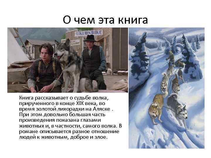 О чем эта книга Книга рассказывает о судьбе волка, прирученного в конце XIX века,
