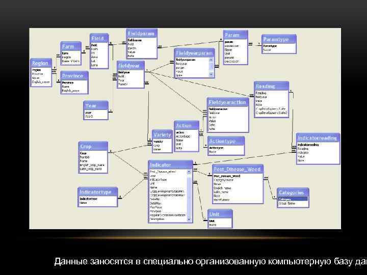 Данные заносятся в специально организованную компьютерную базу дан 