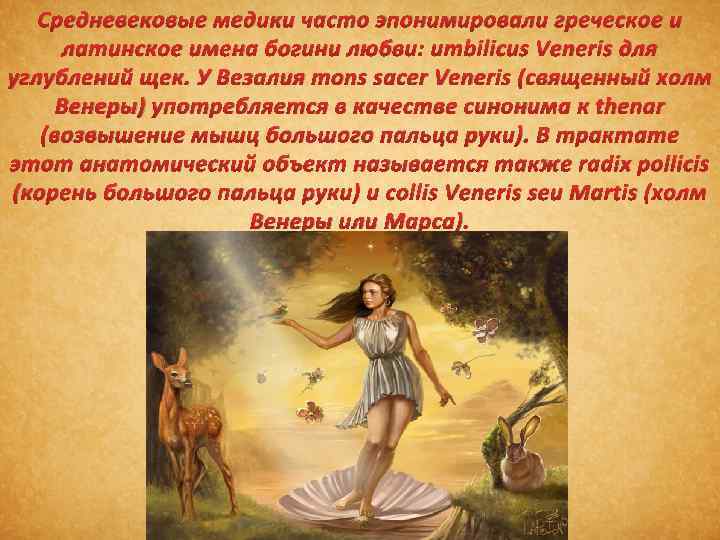 Средневековые медики часто эпонимировали греческое и латинское имена богини любви: umbilicus Veneris для углублений