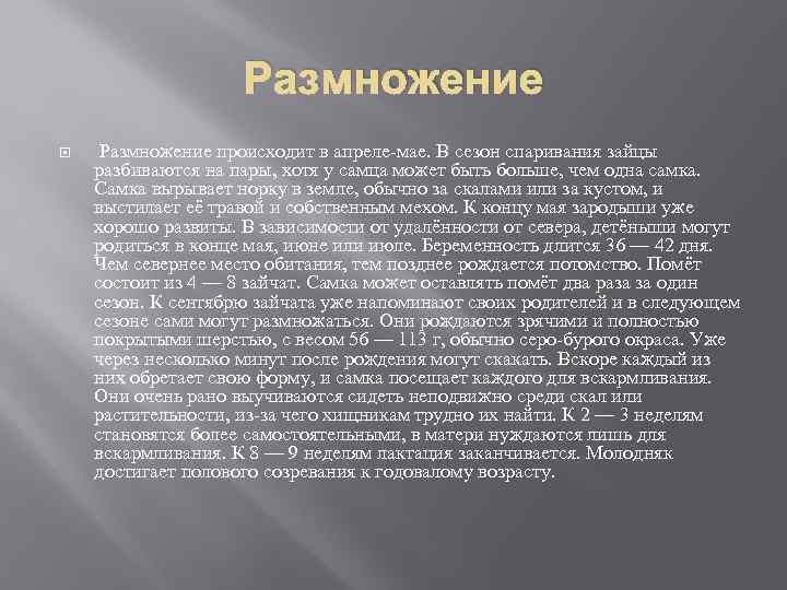 Размножение происходит в апреле-мае. В сезон спаривания зайцы разбиваются на пары, хотя у самца