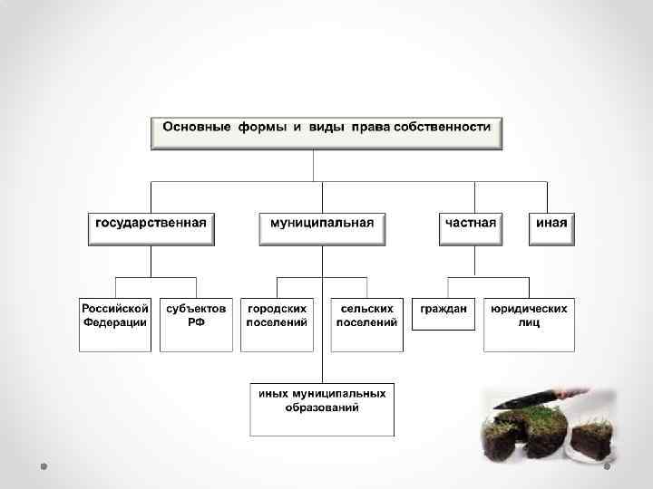 Виды собственности на землю. Право собственности виды и формы.