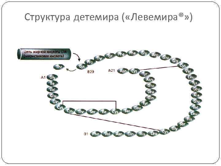 Структура детемира ( «Левемира®» ) 