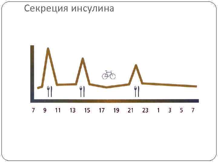 Секреция инсулина 