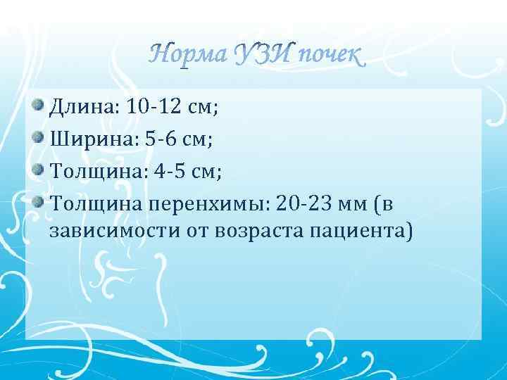 Длина: 10 -12 см; Ширина: 5 -6 см; Толщина: 4 -5 см; Толщина перенхимы: