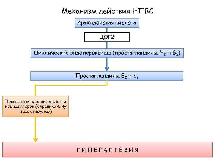 Механизм действия НПВС Арахидоновая кислота ЦОГ 2 Циклические эндопероксиды (простагландины H 2 и G