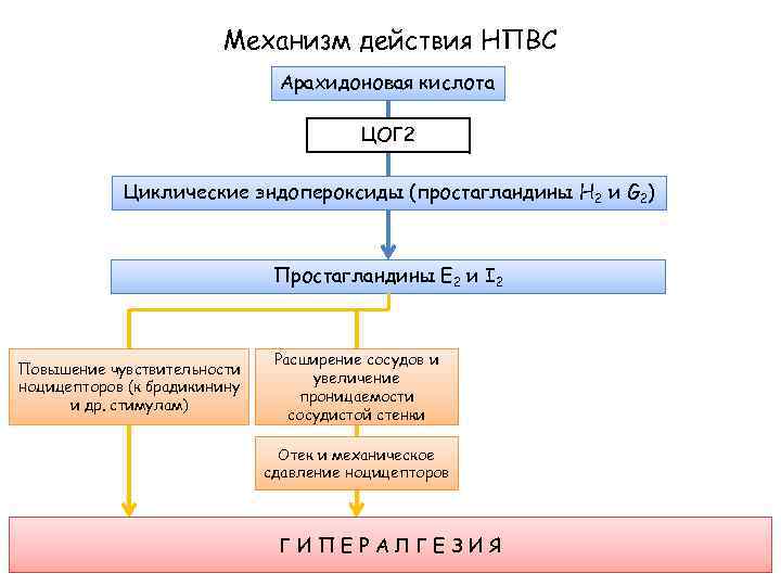 Механизм действия НПВС Арахидоновая кислота ЦОГ 2 Циклические эндопероксиды (простагландины H 2 и G