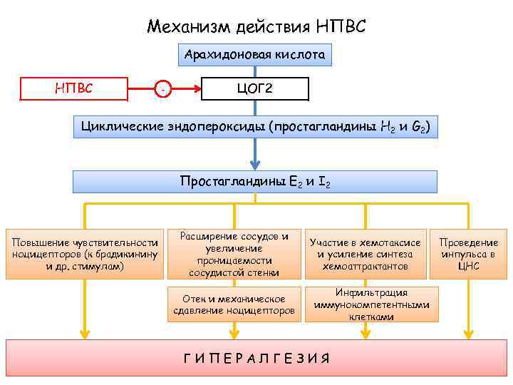 Механизм действия НПВС Арахидоновая кислота НПВС - ЦОГ 2 Циклические эндопероксиды (простагландины H 2