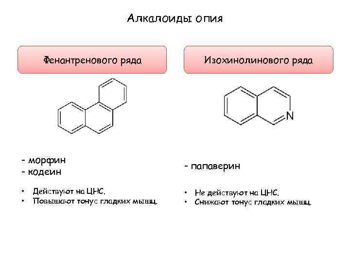 Алкалоиды опия Фенантренового ряда - морфин - кодеин • • Действуют на ЦНС. Повышают