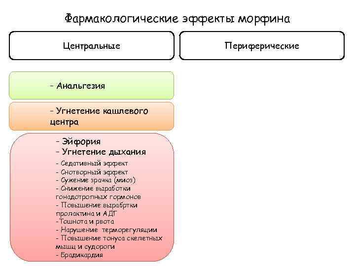 Фармакологические эффекты морфина Центральные - Анальгезия - Угнетение кашлевого центра - Эйфория - Угнетение