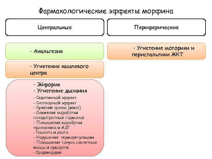 Фармакологические эффекты морфина Центральные - Анальгезия - Угнетение кашлевого центра - Эйфория - Угнетение
