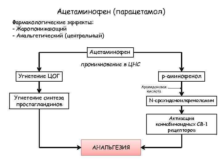 Парацетамол действие