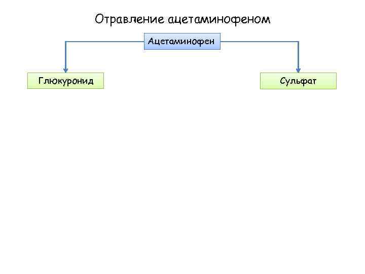 Отравление ацетаминофеном Ацетаминофен Глюкуронид Сульфат 