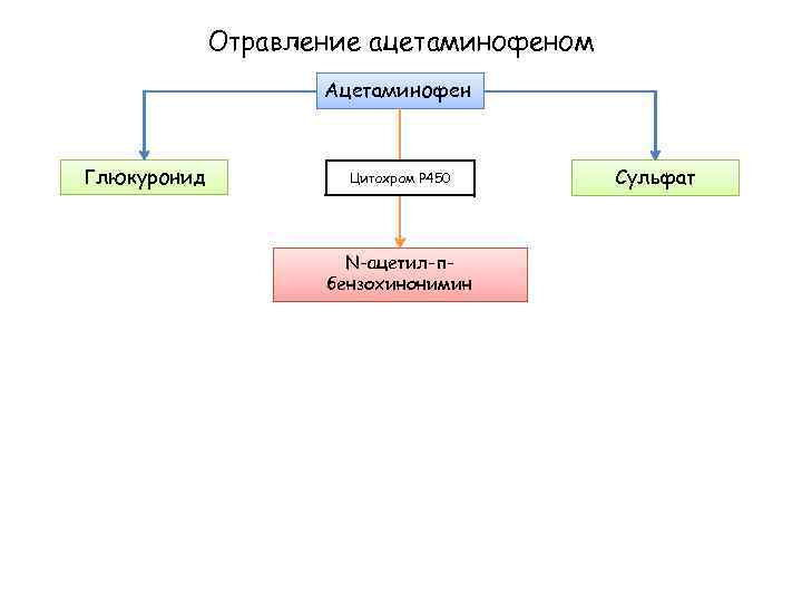 Отравление ацетаминофеном Ацетаминофен Глюкуронид Цитохром Р 450 N-ацетил-пбензохинонимин Сульфат 