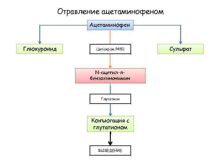 Отравление ацетаминофеном Ацетаминофен Глюкуронид Цитохром Р 450 N-ацетил-пбензохинонимин Глутатион Конъюгация с глутатионом ВЫВЕДЕНИЕ Сульфат