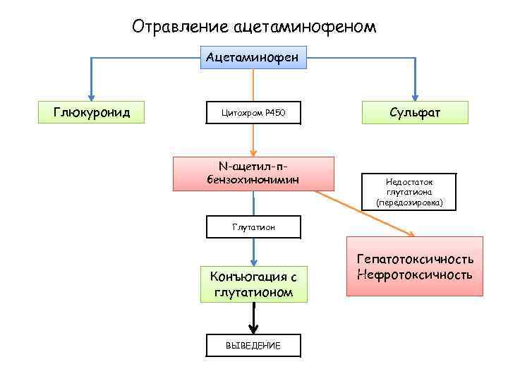 Отравление ацетаминофеном Ацетаминофен Глюкуронид Цитохром Р 450 N-ацетил-пбензохинонимин Сульфат Недостаток глутатиона (передозировка) Глутатион Конъюгация