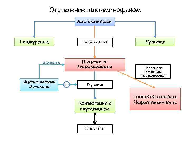 Отравление ацетаминофеном Ацетаминофен Глюкуронид Цитохром Р 450 N-ацетил-пбензохинонимин связывание Ацетилцистеин Метионин + Сульфат Недостаток