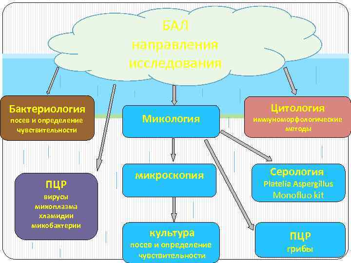 БАЛ направления исследования Бактериология посев и определение чувствительности ПЦР вирусы микоплазма хламидии микобактерии Цитология