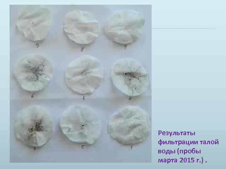 Результаты фильтрации талой воды (пробы марта 2015 г. ). 
