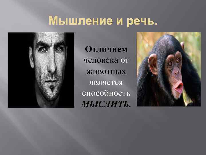 Мышление и речь. Отличием человека от животных является способность МЫСЛИТЬ. 