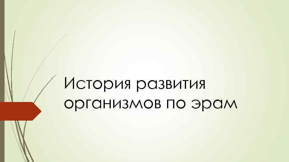 История развития организмов по эрам 