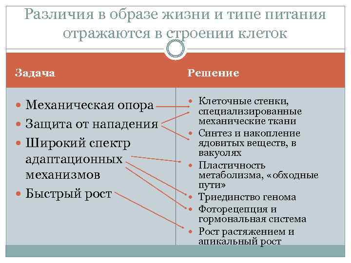 Различия в образе жизни и типе питания отражаются в строении клеток Задача Решение Механическая