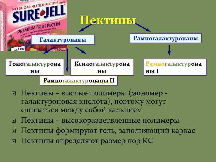 Пектины Галактуронаны Гомогалактурона ны Ксилогалактурона ны Рамногалактурона ны I Рамногалактуронаны II Пектины – кислые