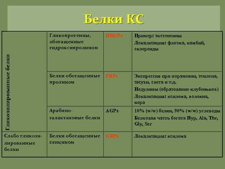 Белки клеточной стенки растений. Клеточная стенка функции и белки. Локализация белков в клетке растения. Экстенсин белок.