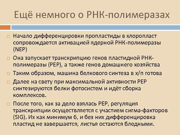 Ещё немного о РНК-полимеразах Начало дифференцировки пропластиды в хлоропласт сопровождается активацией ядерной РНК-полимеразы (NEP)