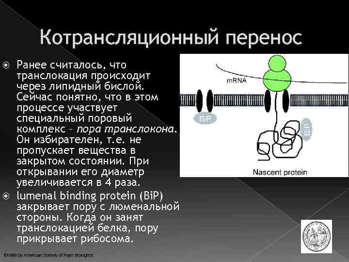 Происходит через