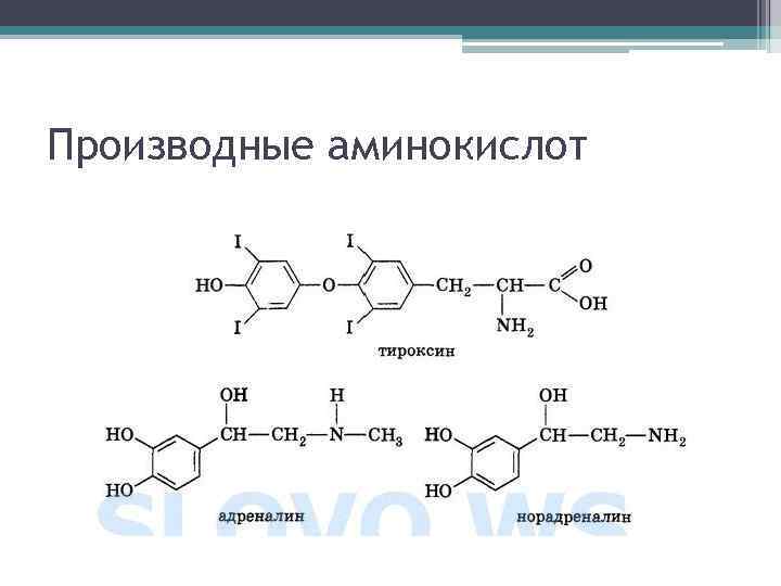 Производные аминокислот 