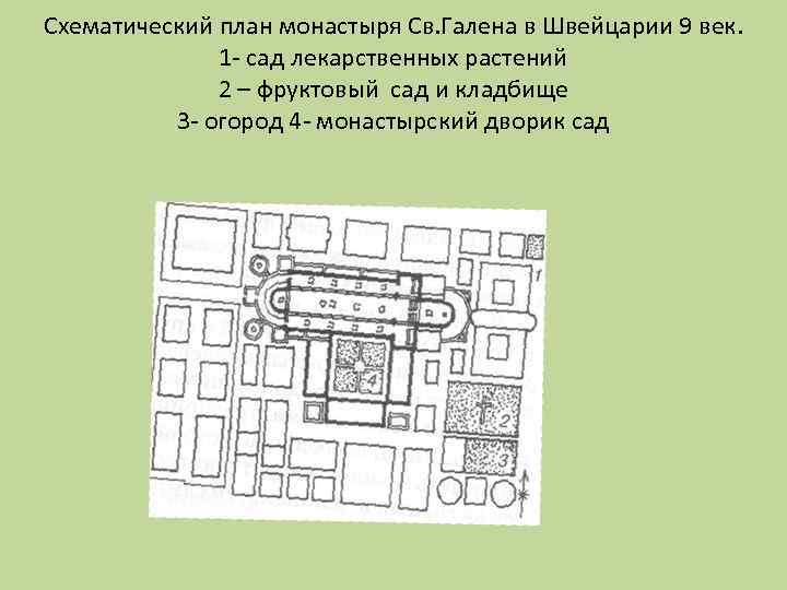 Схематический план монастыря Св. Галена в Швейцарии 9 век. 1 - сад лекарственных растений