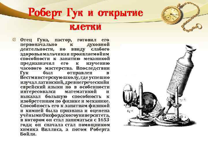 Роберт Гук и открытие клетки Отец Гука, пастор, готовил его первоначально к духовной деятельности,