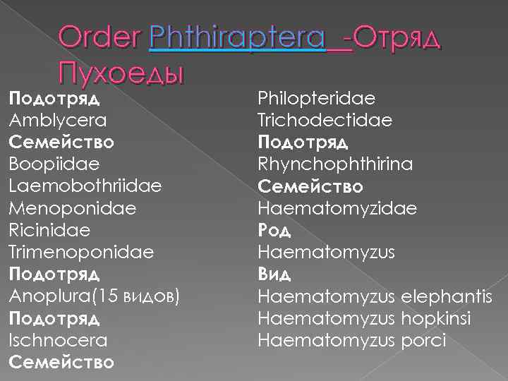 Order Phthiraptera -Отряд Пухоеды Подотряд Amblycera Семейство Boopiidae Laemobothriidae Menoponidae Ricinidae Trimenoponidae Подотряд Anoplura(15