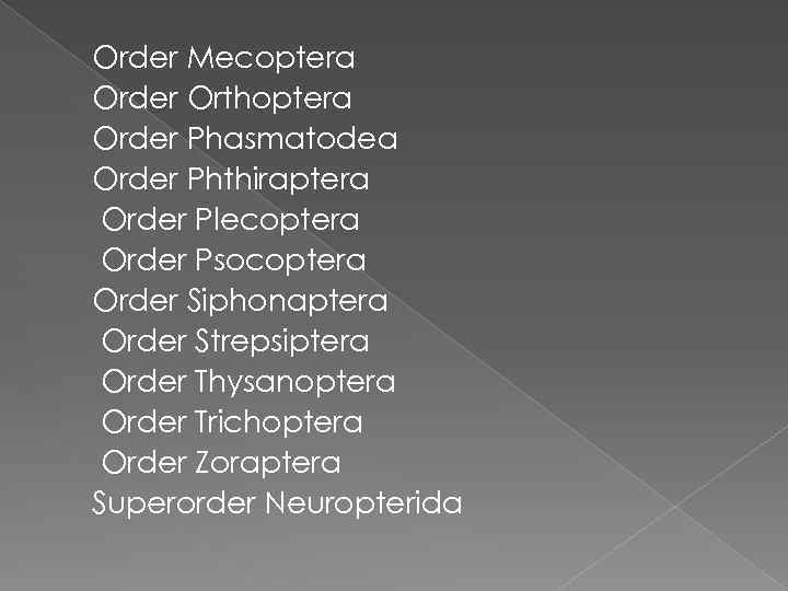 Order Mecoptera Order Orthoptera Order Phasmatodea Order Phthiraptera Order Plecoptera Order Psocoptera Order Siphonaptera