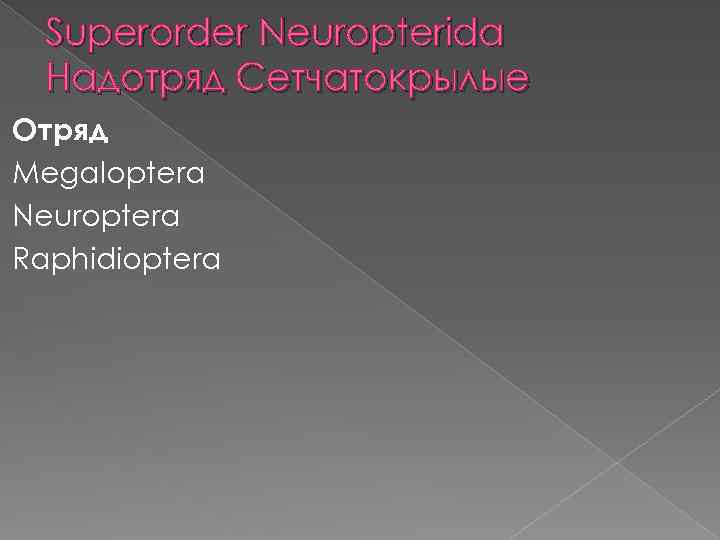 Superorder Neuropterida Надотряд Сетчатокрылые Отряд Megaloptera Neuroptera Raphidioptera 