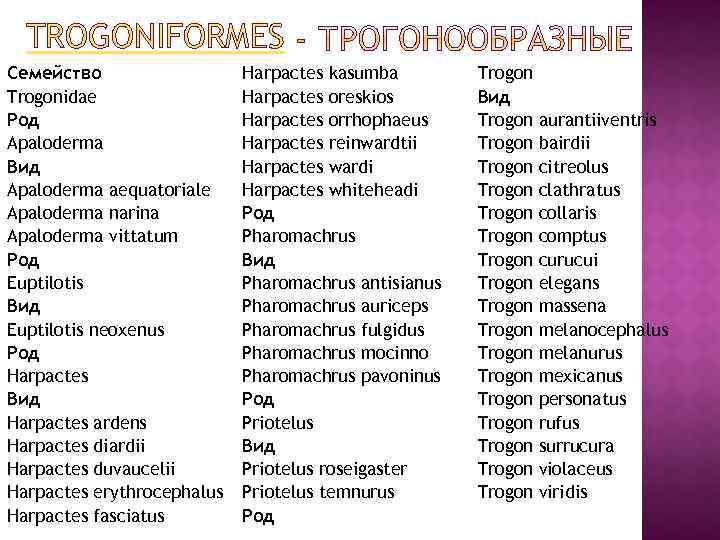 TROGONIFORMES Семейство Trogonidae Род Apaloderma Вид Apaloderma aequatoriale Apaloderma narina Apaloderma vittatum Род Euptilotis