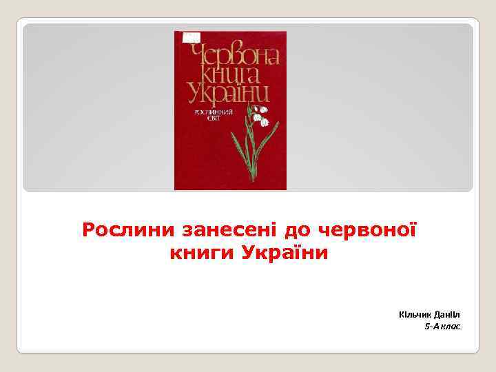 Рослини занесені до червоної книги України Кільчик Данііл 5 -А клас 