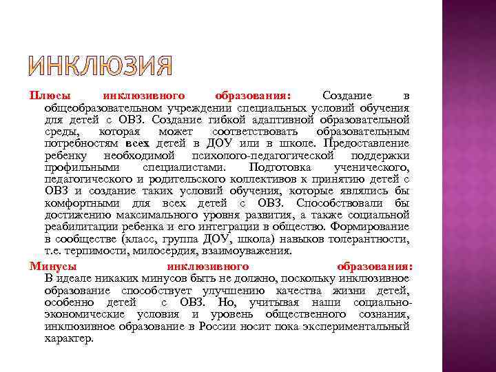 Плюсы инклюзивного образования: Создание в общеобразовательном учреждении специальных условий обучения для детей с ОВЗ.