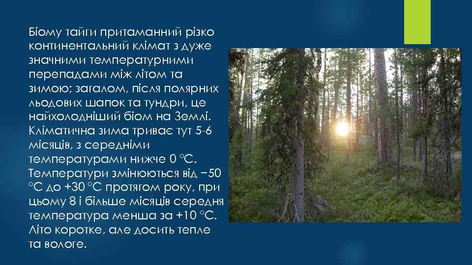 Біому тайги притаманний різко континентальний клімат з дуже значними температурними перепадами між літом та