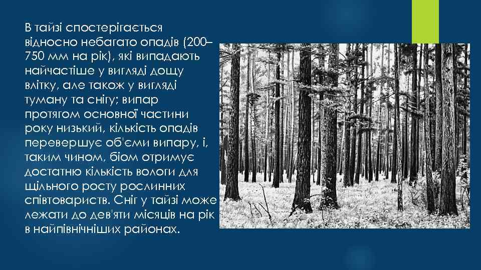 В тайзі спостерігається відносно небагато опадів (200– 750 мм на рік), які випадають найчастіше