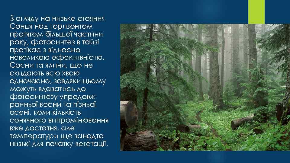 З огляду на низьке стояння Сонця над горизонтом протягом більшої частини року, фотосинтез в