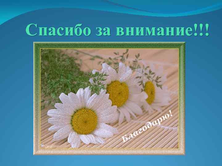 Спасибо за внимание!!! 