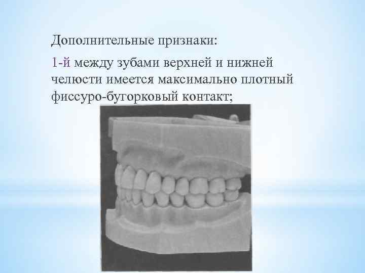 Дополнительные признаки: 1 -й между зубами верхней и нижней челюсти имеется максимально плотный фиссуро-бугорковый