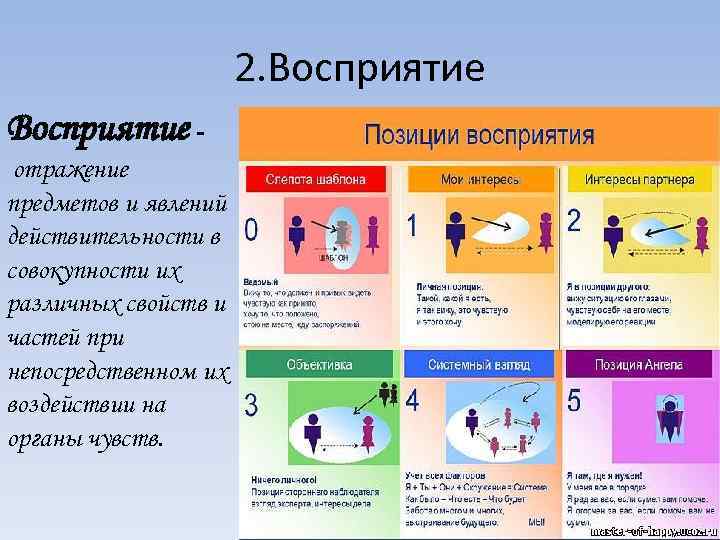 2. Восприятие отражение предметов и явлений действительности в совокупности их различных свойств и частей