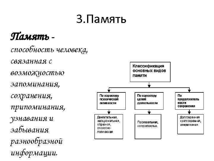 3. Память способность человека, связанная с возможностью запоминания, сохранения, припоминания, узнавания и забывания разнообразной