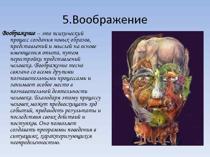 5. Воображение – это психический процесс создания новых образов, представлений и мыслей на основе