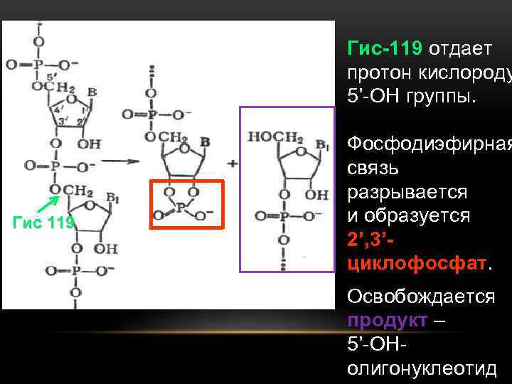 Фосфодиэфирная связь между нуклеотидами. Гуанозин 3 5 циклофосфат. 3 5 Фосфодиэфирная связь. Фосфодиэфирная связь в нуклеотидах. Фосфодиэфирная связь в АТФ.